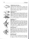 Akvarijn ryby, 500 druh, 1995